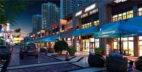 安陽(yáng)想把日子過成詩(shī),鎖定 東府全臨街商鋪